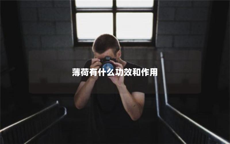 薄荷有什么功效和作用