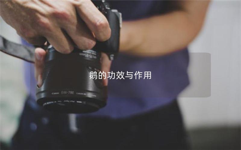 鹅的功效与作用