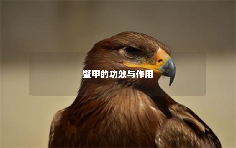 鳖甲的功效与作用