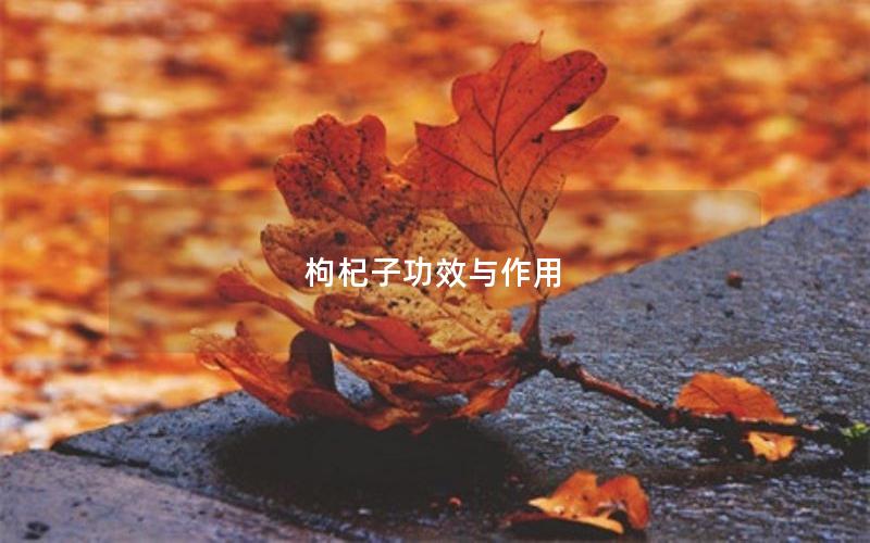 枸杞子功效与作用