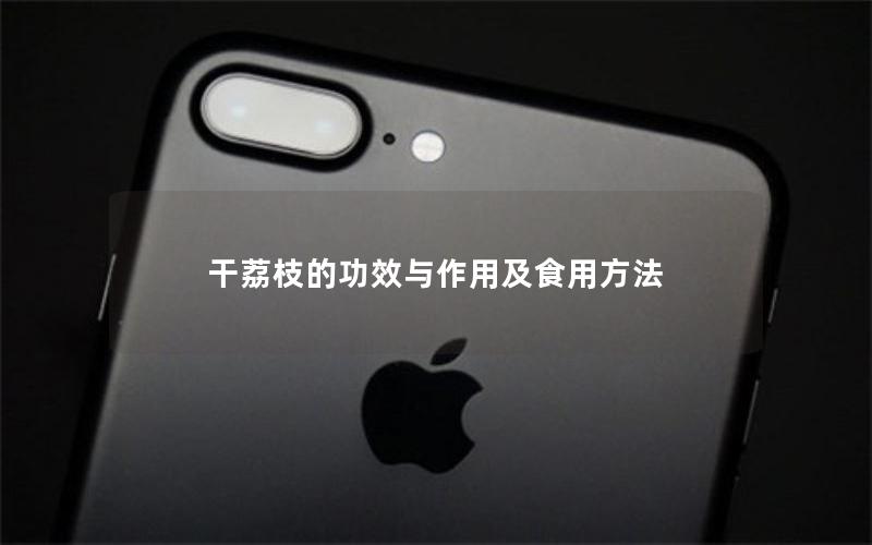 干荔枝的功效与作用及食用方法