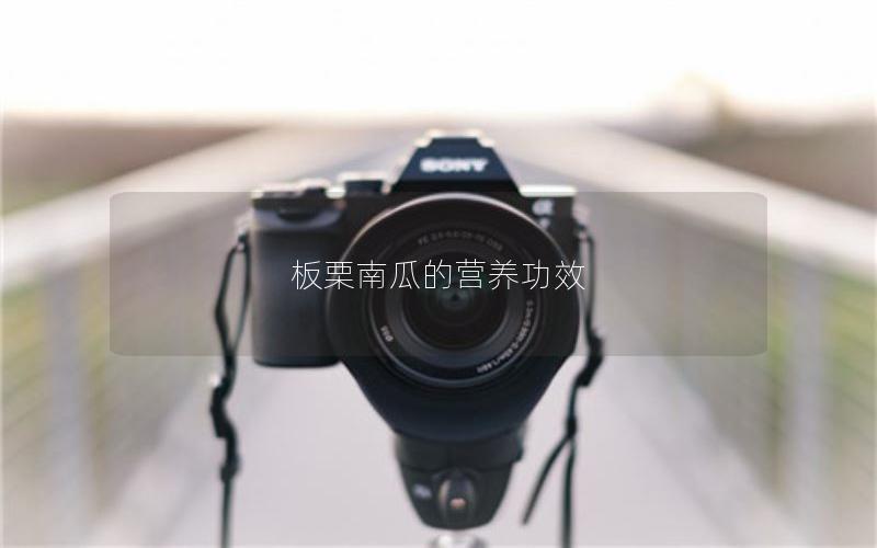 板栗南瓜的营养功效