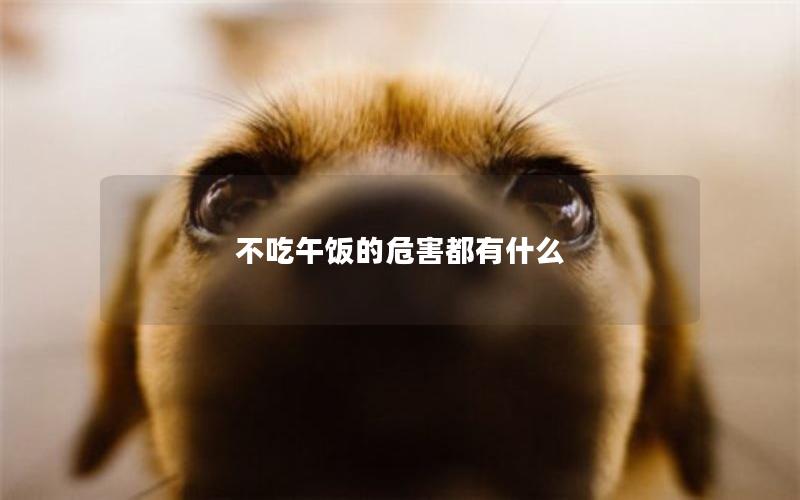 不吃午饭的危害都有什么