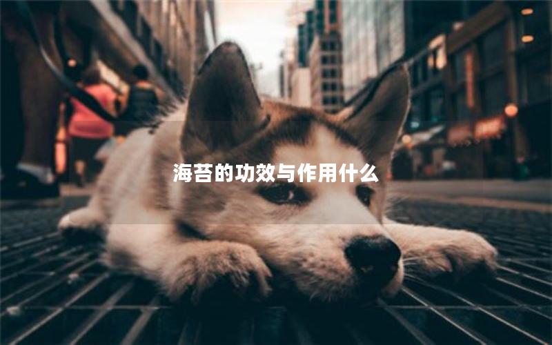 海苔的功效与作用什么