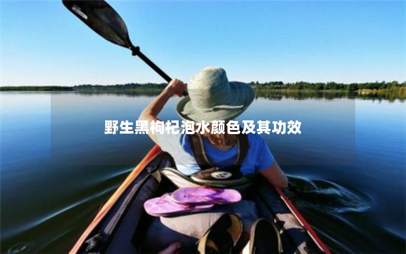 野生黑枸杞泡水颜色及其功效