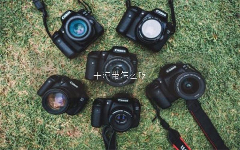 干海带怎么吃