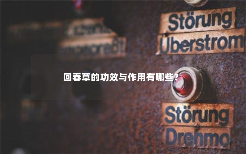 回春草的功效与作用有哪些？