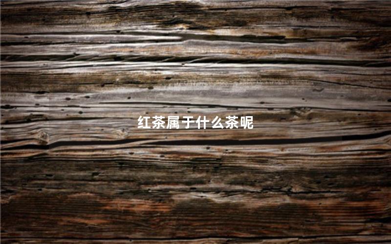 红茶属于什么茶呢