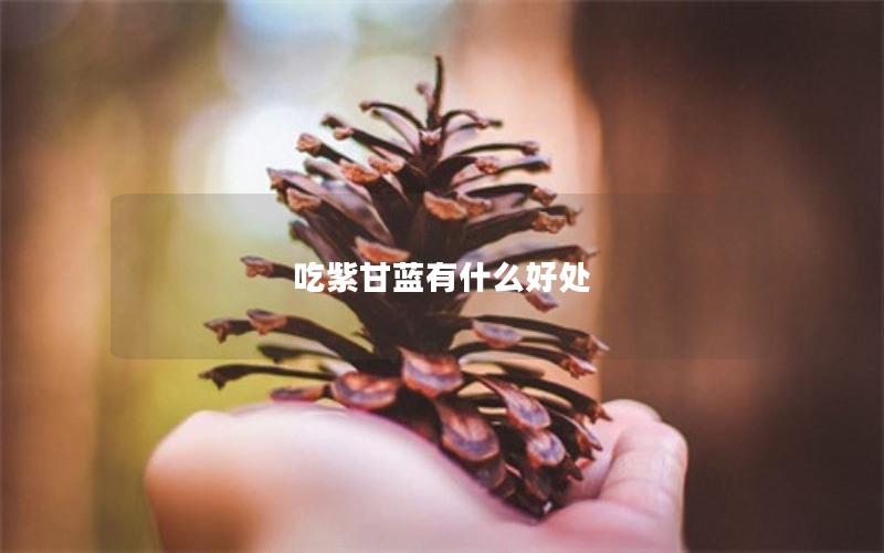 吃紫甘蓝有什么好处