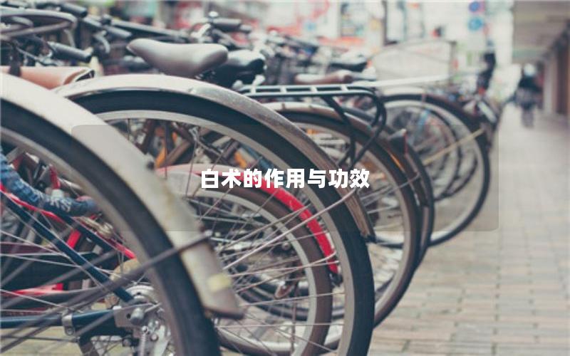 白术的作用与功效