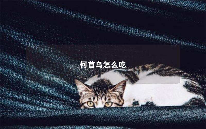 何首乌怎么吃