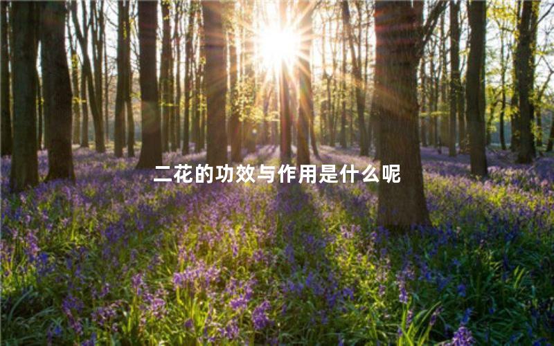 二花的功效与作用是什么呢