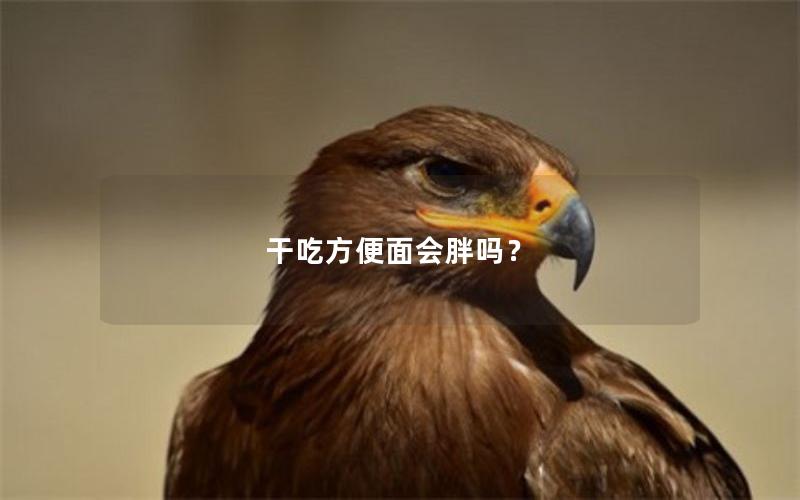 干吃方便面会胖吗？