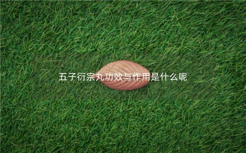 五子衍宗丸功效与作用是什么呢