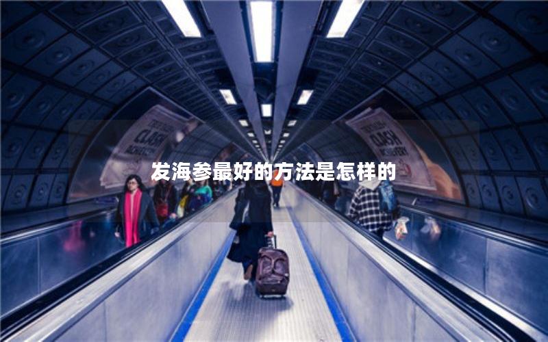 发海参最好的方法是怎样的