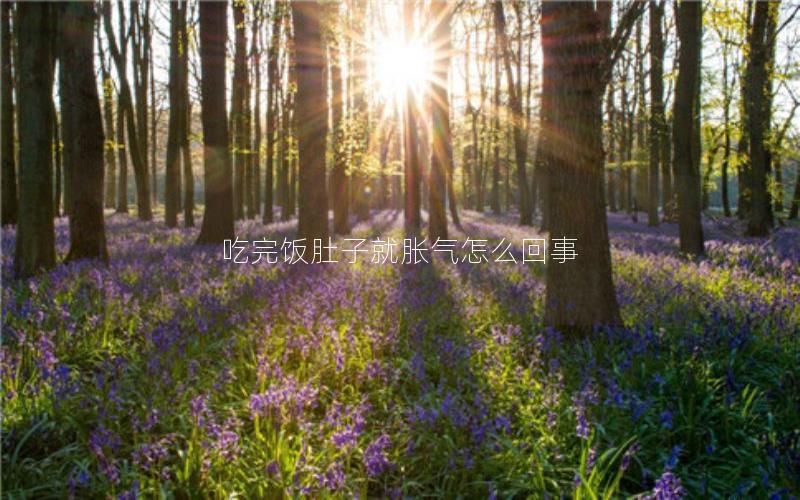 吃完饭肚子就胀气怎么回事