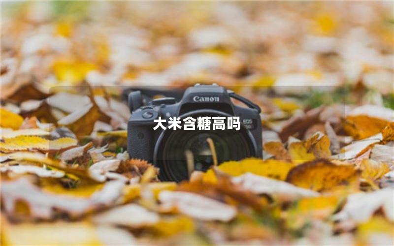 大米含糖高吗