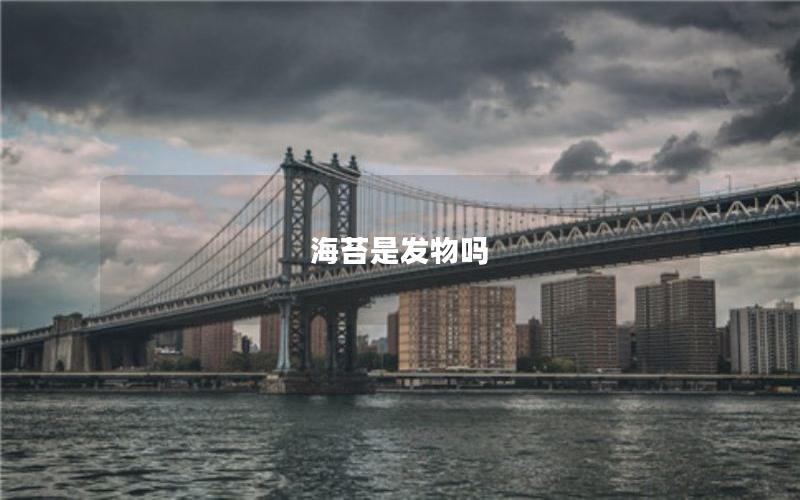 海苔是发物吗