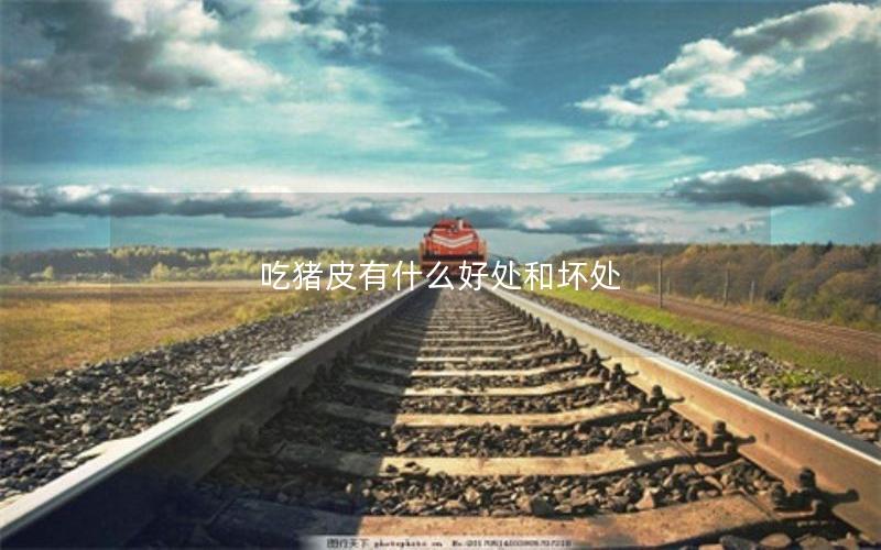 吃猪皮有什么好处和坏处