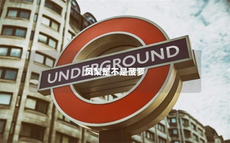 凤梨是不是菠萝