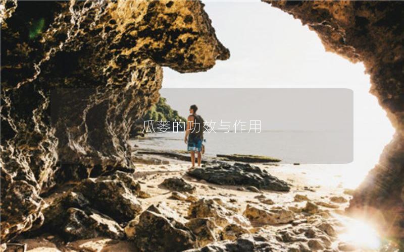瓜蒌的功效与作用
