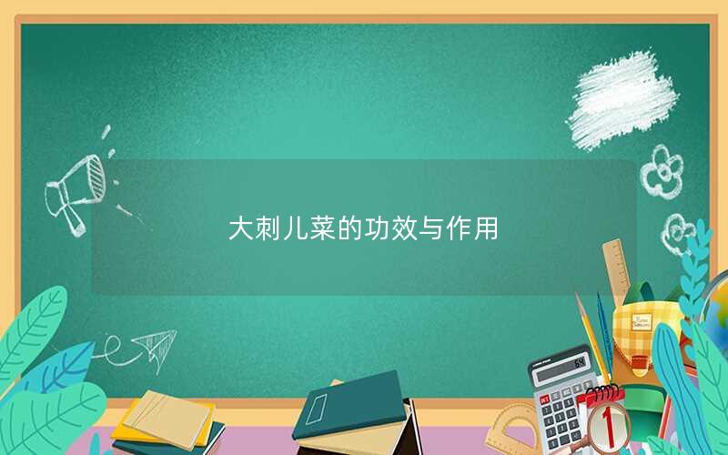 大刺儿菜的功效与作用