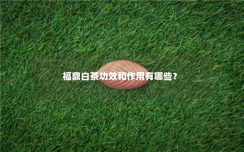 福鼎白茶功效和作用有哪些？