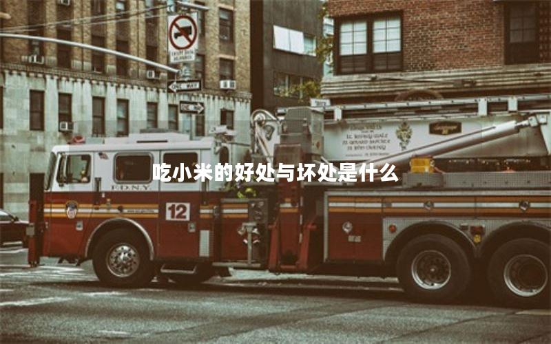 吃小米的好处与坏处是什么
