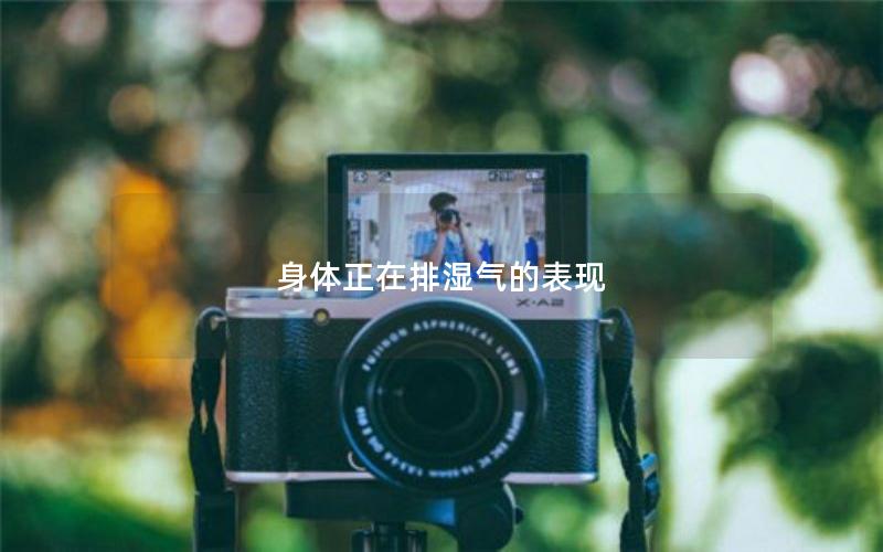 身体正在排湿气的表现