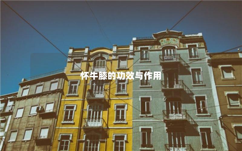 怀牛膝的功效与作用