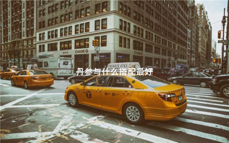 丹参与什么搭配最好