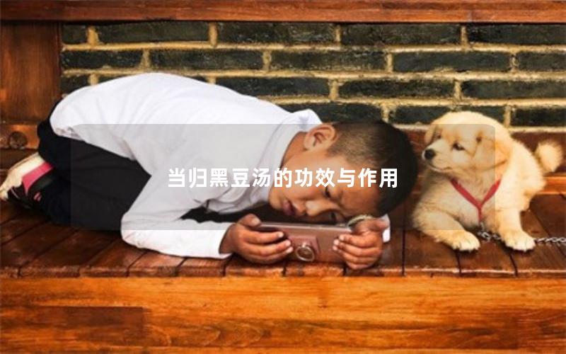 当归黑豆汤的功效与作用