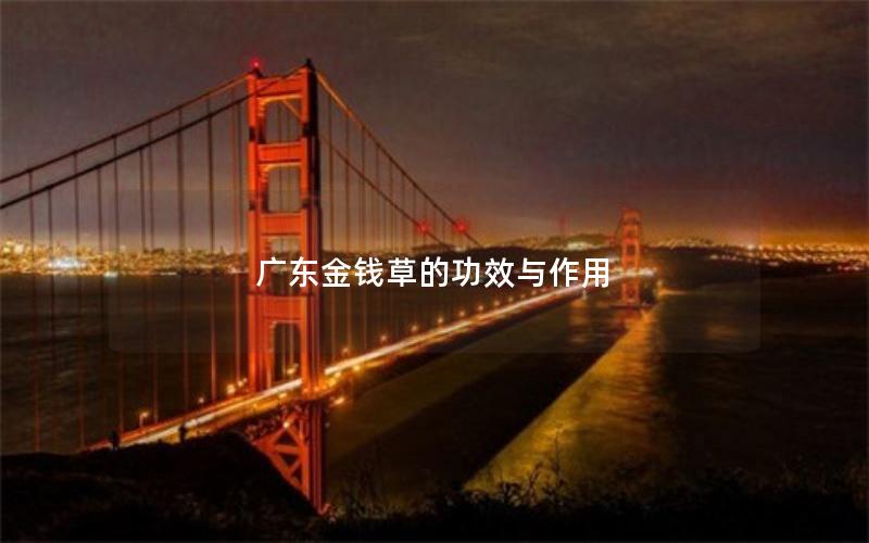 广东金钱草的功效与作用