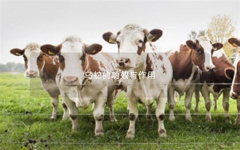 乌蛇的功效与作用