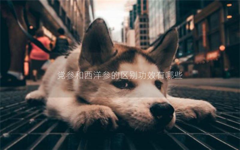 党参和西洋参的区别功效有哪些
