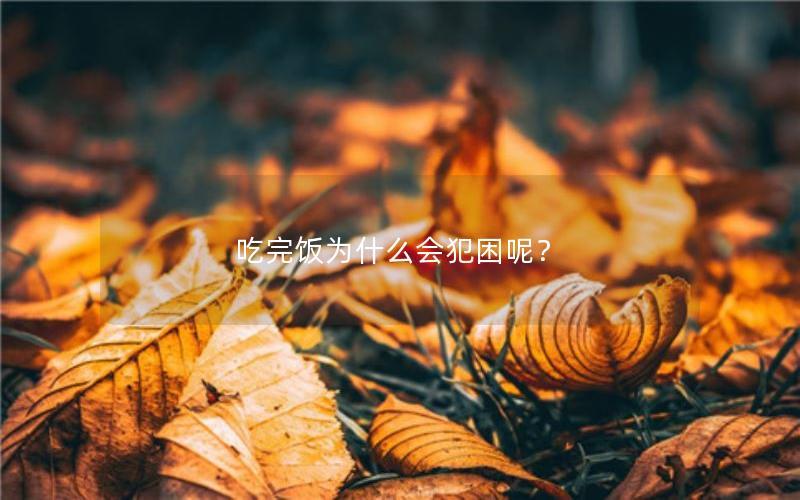 吃完饭为什么会犯困呢？