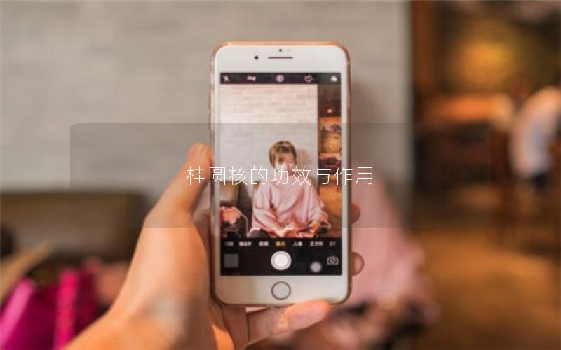 桂圆核的功效与作用