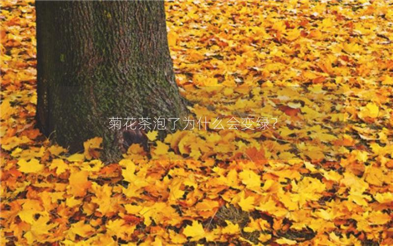 菊花茶泡了为什么会变绿？