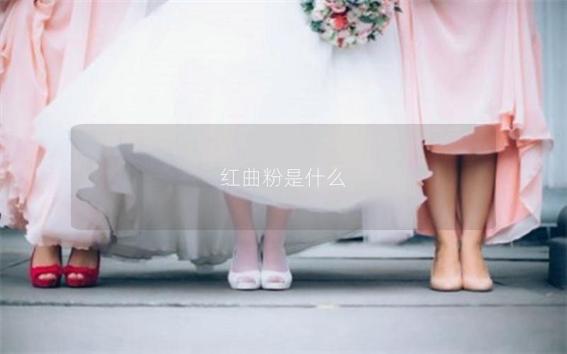 红曲粉是什么