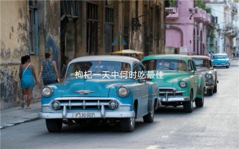 枸杞一天中何时吃最佳