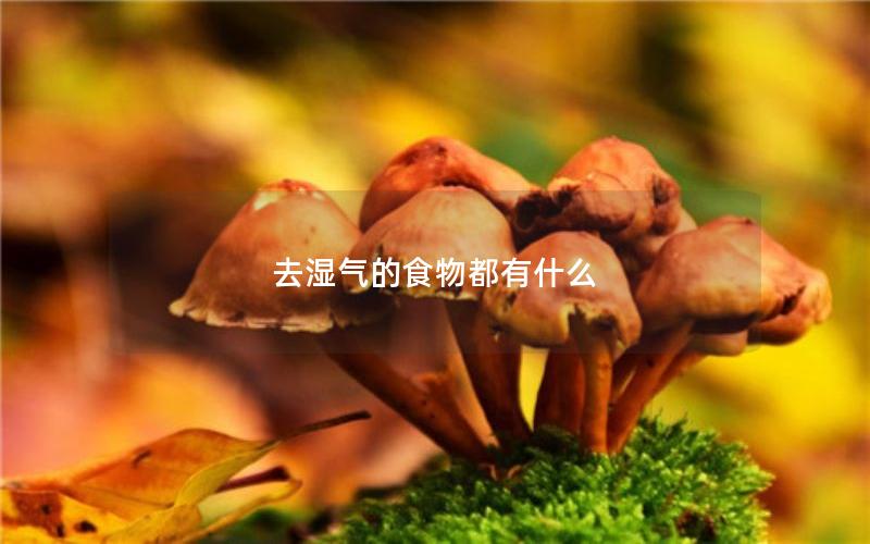 去湿气的食物都有什么