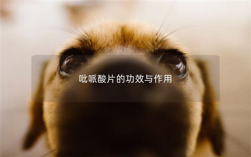 吡哌酸片的功效与作用