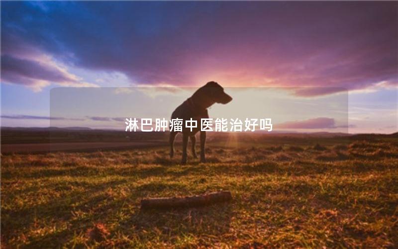 淋巴肿瘤中医能治好吗