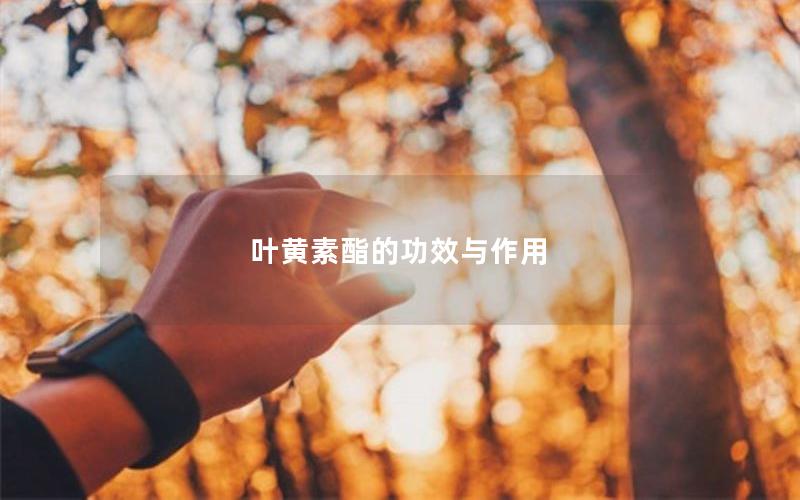 叶黄素酯的功效与作用
