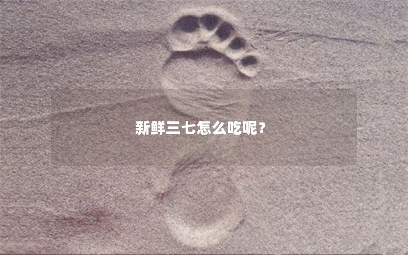 新鲜三七怎么吃呢？