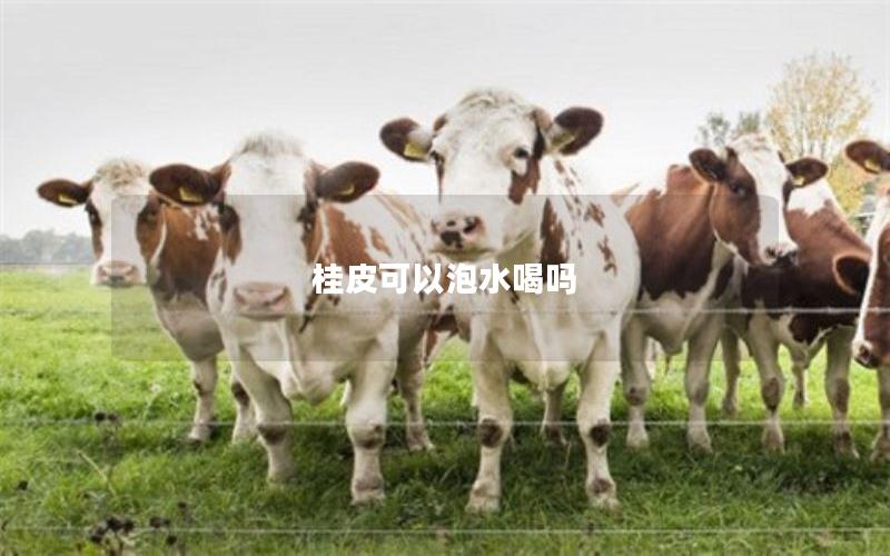桂皮可以泡水喝吗