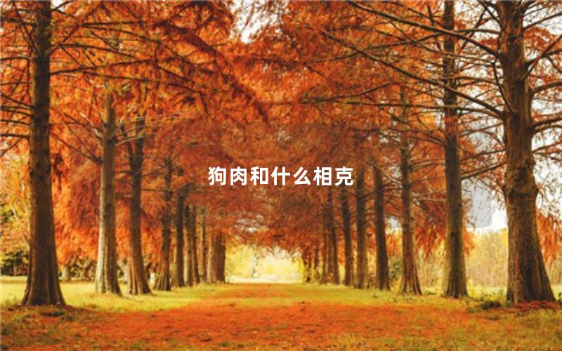 狗肉和什么相克