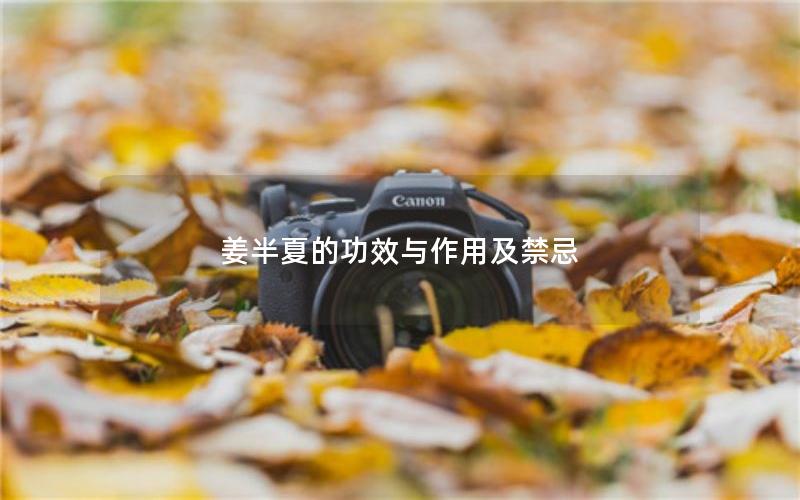 姜半夏的功效与作用及禁忌
