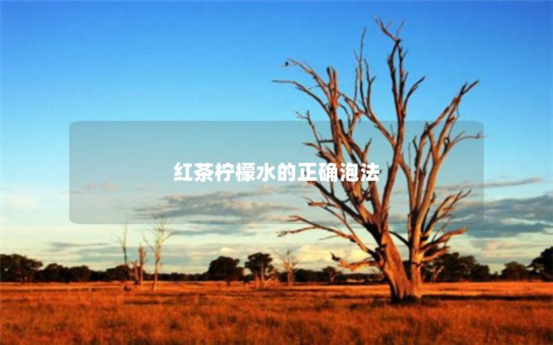 红茶柠檬水的正确泡法