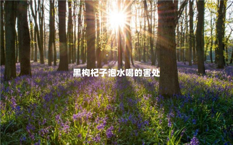 黑枸杞子泡水喝的害处